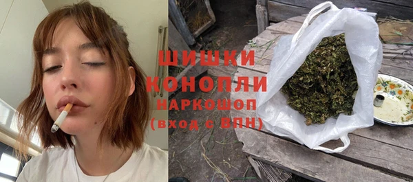 шишки Новокубанск
