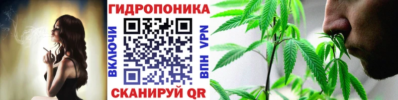 кракен как зайти Инта Каннабис AK-47